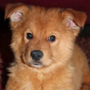 Meet your Posher, Noah